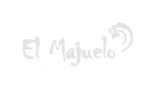 Home - hosting y diseño web