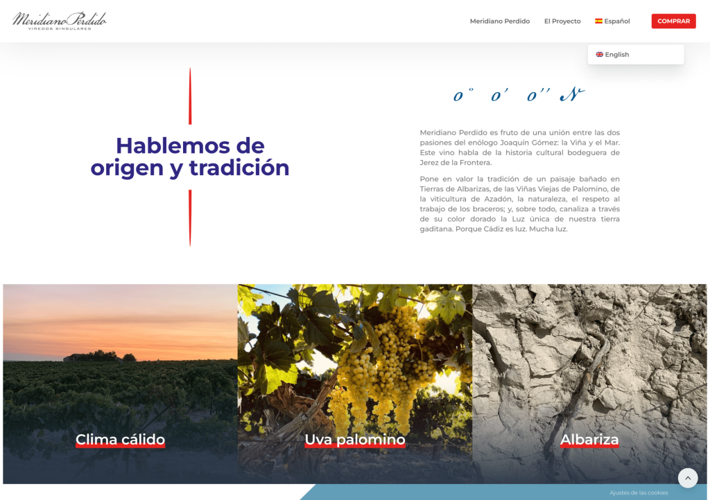 diseño web de página de inicio para meridiano perdido