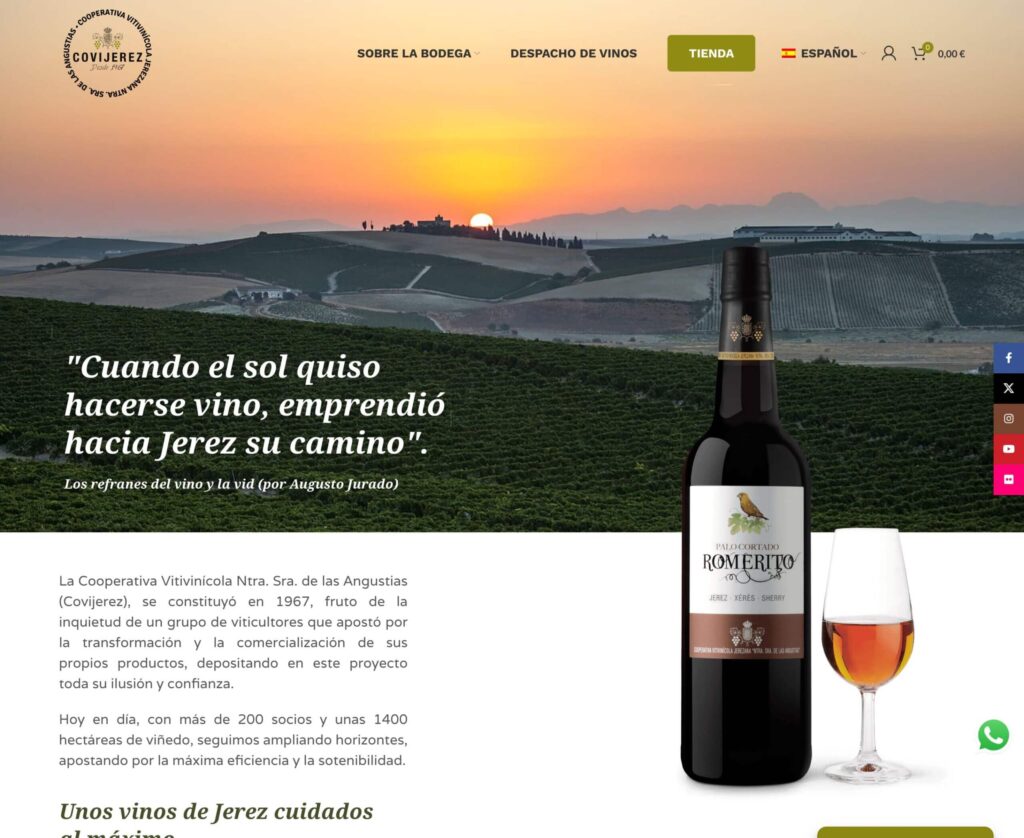 Covijerez - hosting y diseño web