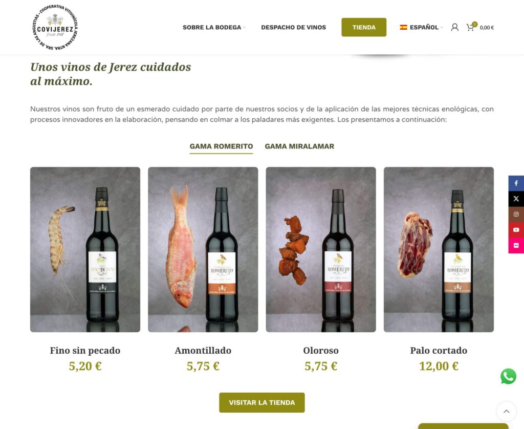 Covijerez - hosting y diseño web