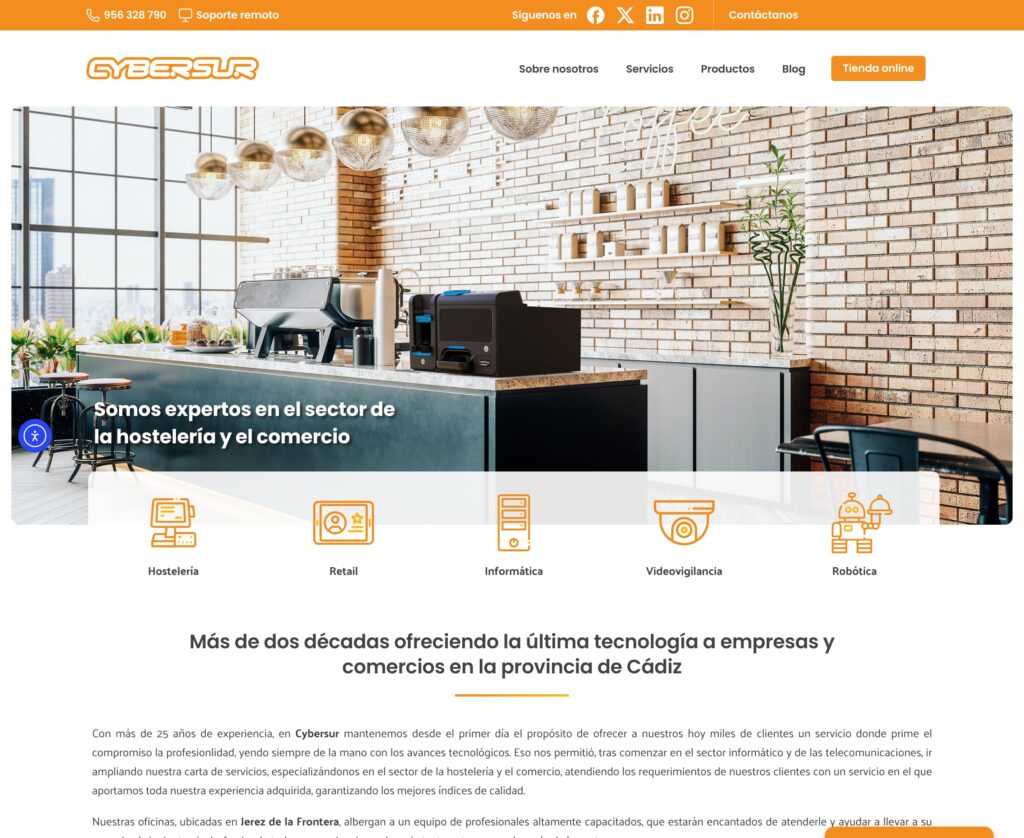 Cybersur - hosting y diseño web
