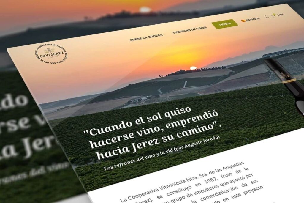 Portfolio - hosting y diseño web