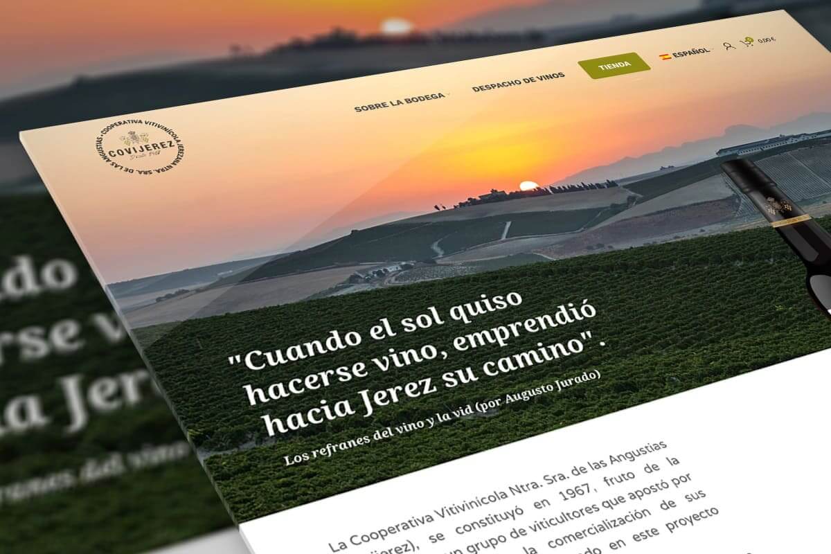 Covijerez - hosting y diseño web