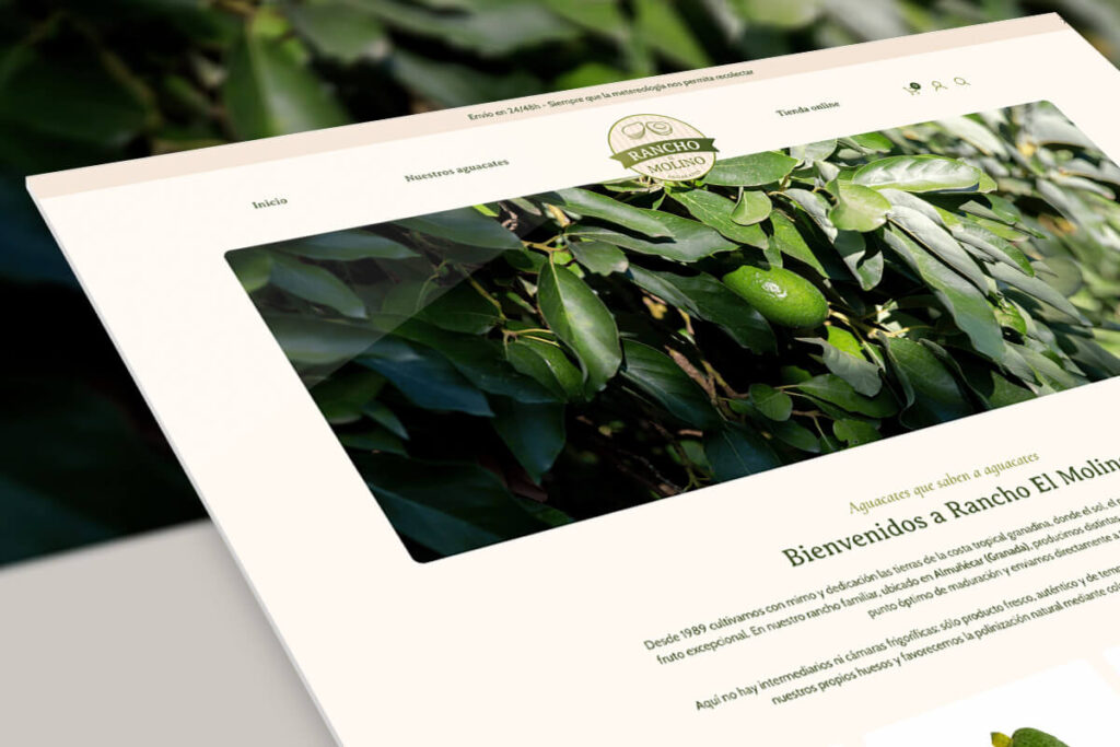 Portfolio - hosting y diseño web