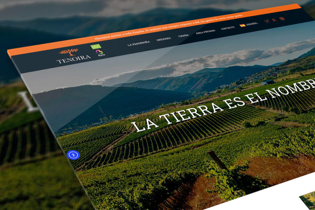 Portfolio - hosting y diseño web