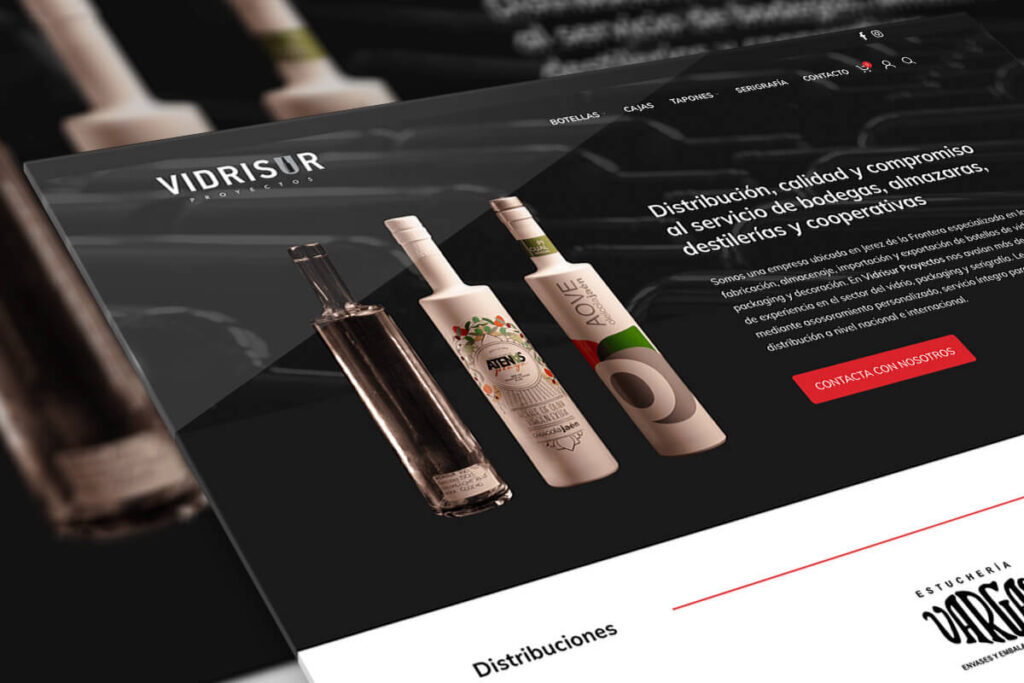 Portfolio - hosting y diseño web