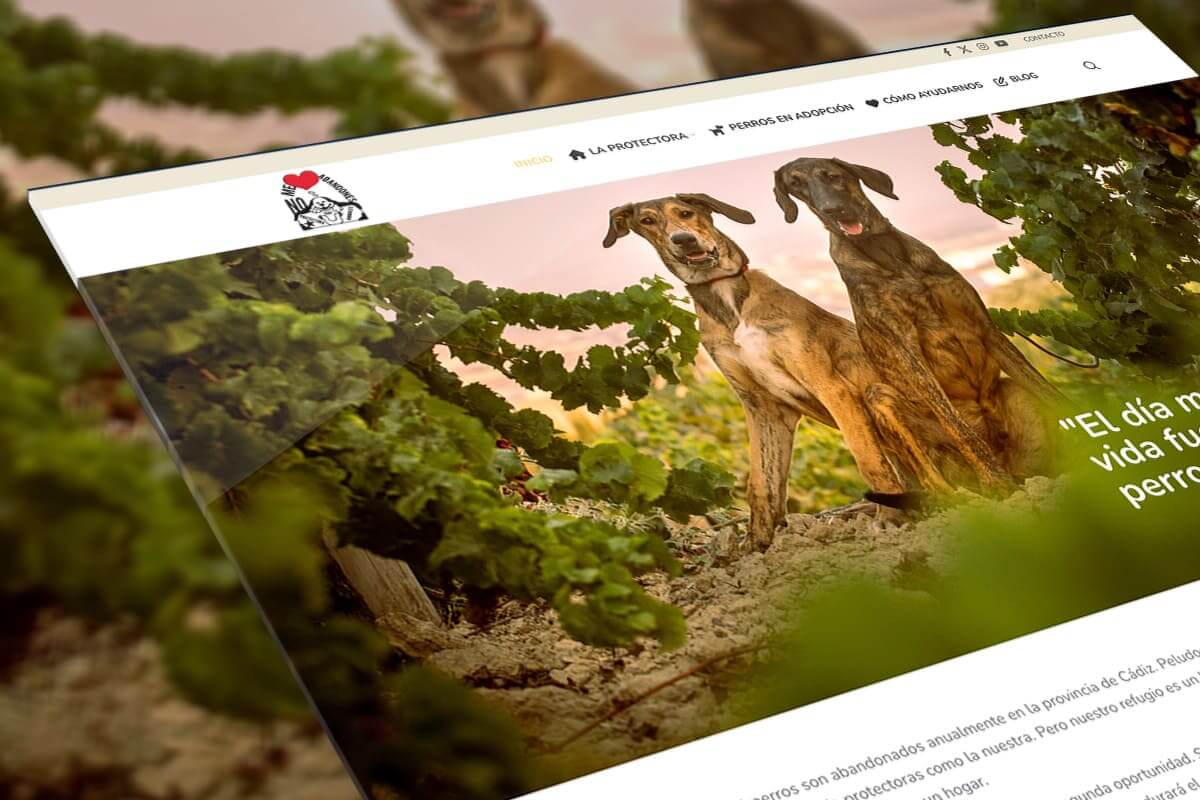 No Me Abandones - hosting y diseño web