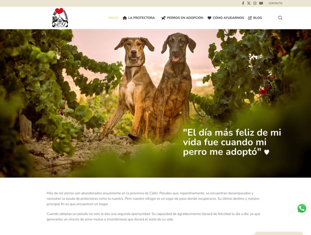 No Me Abandones - hosting y diseño web