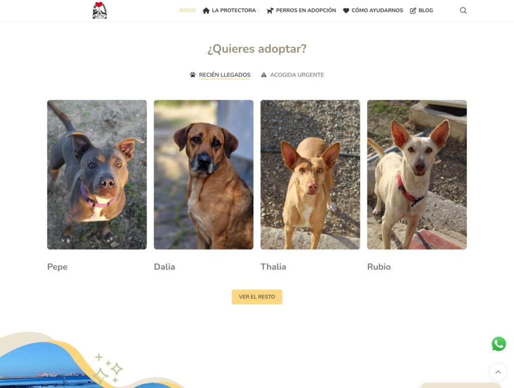 No Me Abandones - hosting y diseño web