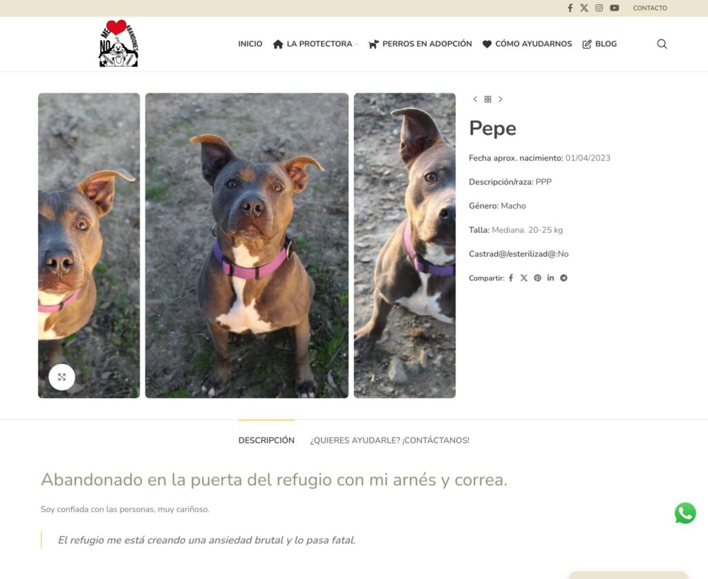 No Me Abandones - hosting y diseño web