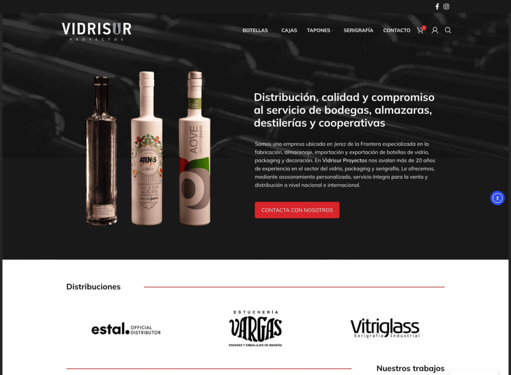 Vidrisur - hosting y diseño web