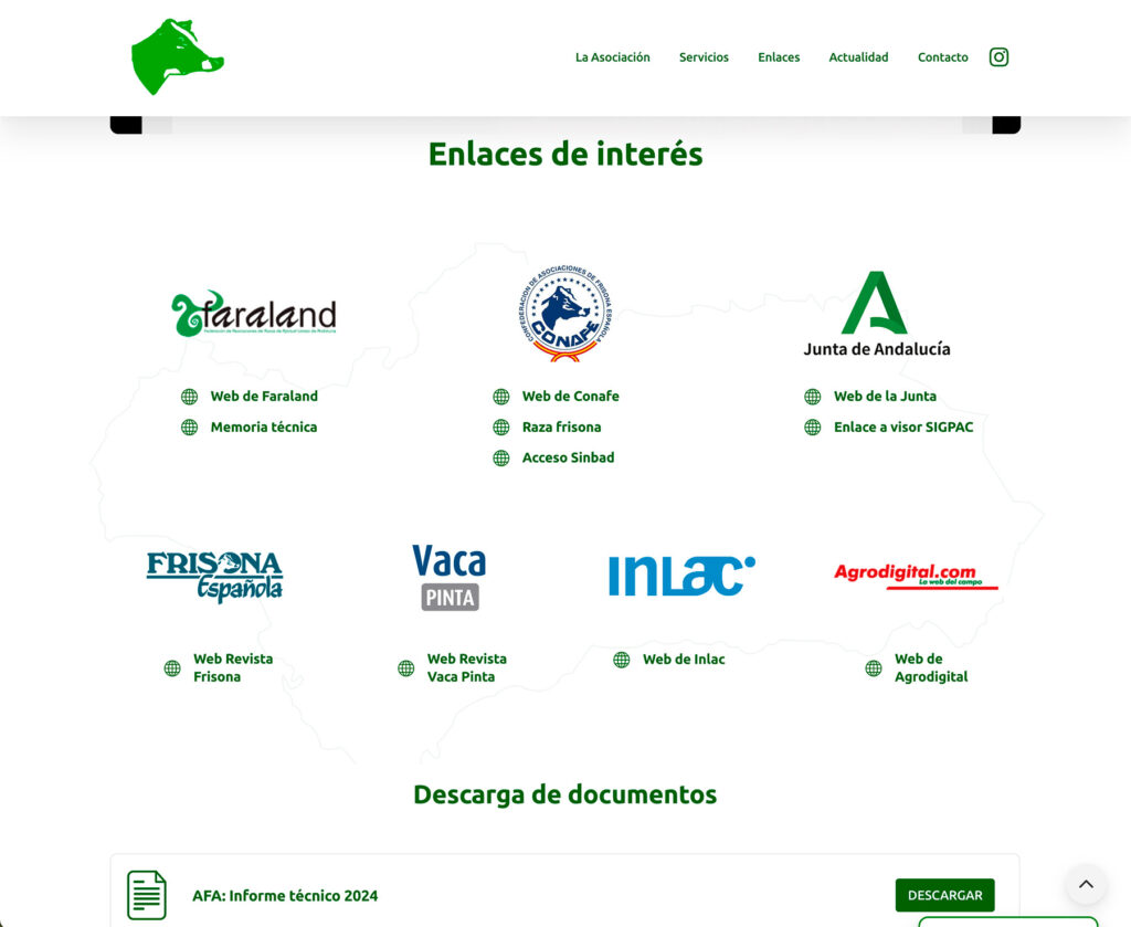 AFA Andaluza - hosting y diseño web