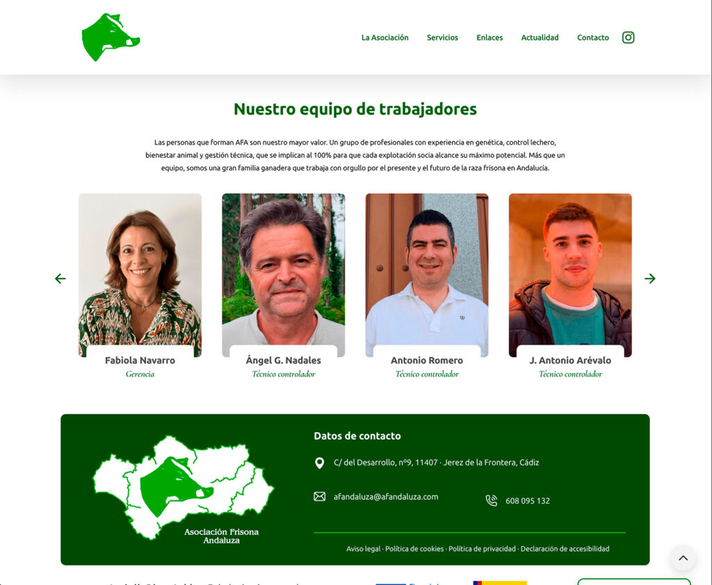 AFA Andaluza - hosting y diseño web