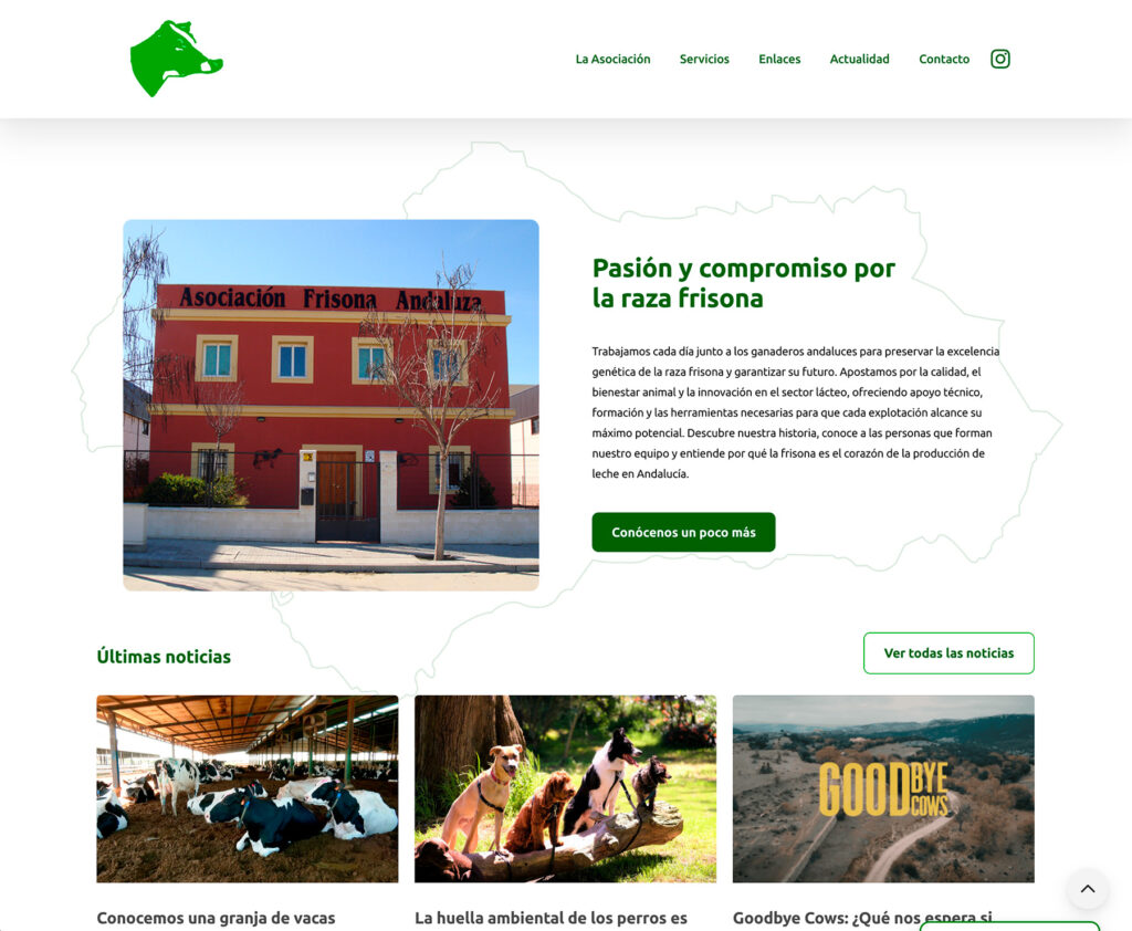 AFA Andaluza - hosting y diseño web