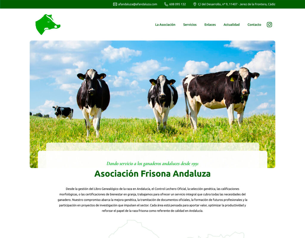 AFA Andaluza - hosting y diseño web