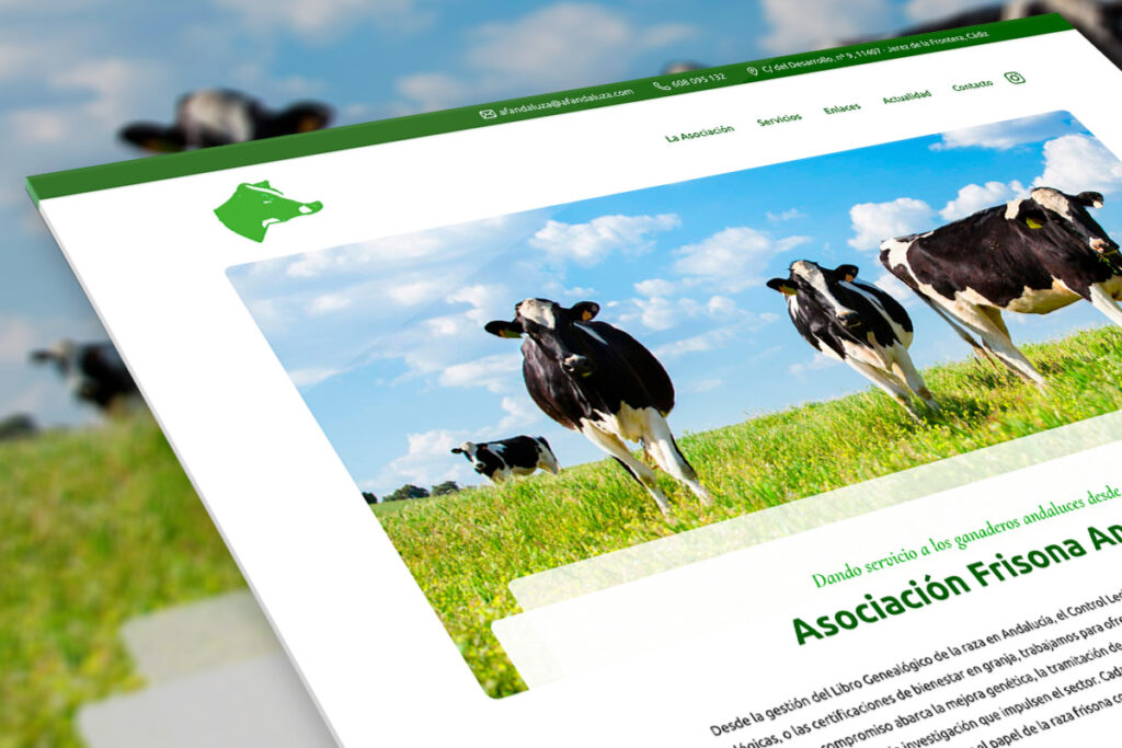 Portfolio - hosting y diseño web